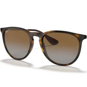 Ray-Ban Erika Polarized Tortoiseshell Sunglasses with Case
